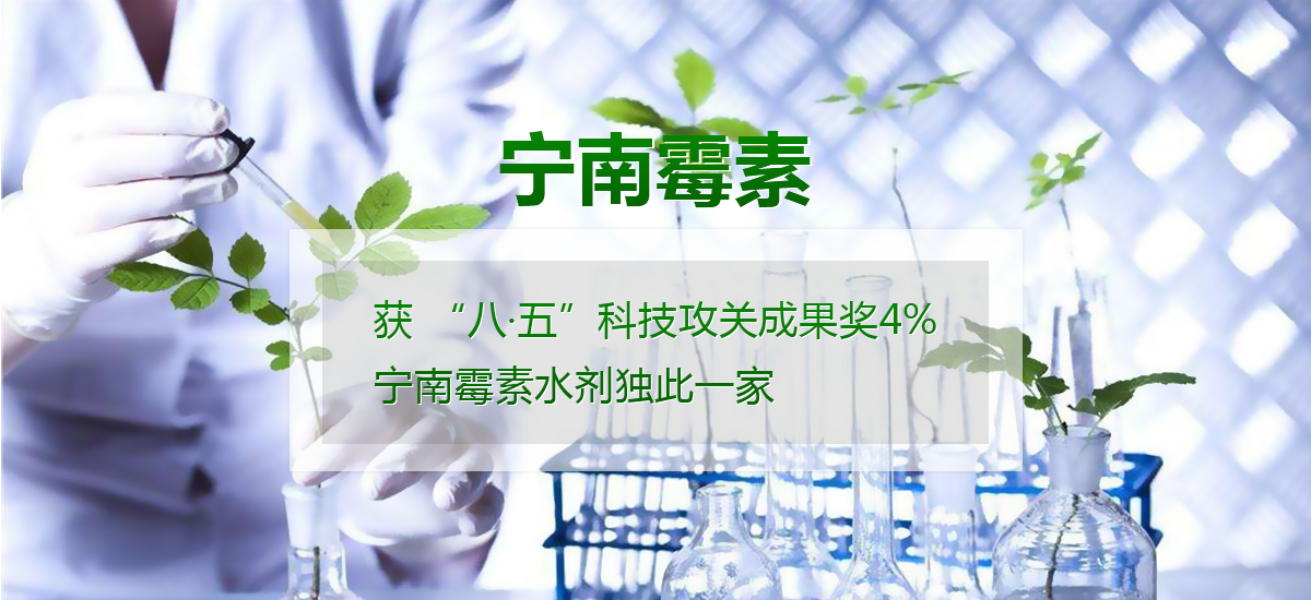 幻燈2