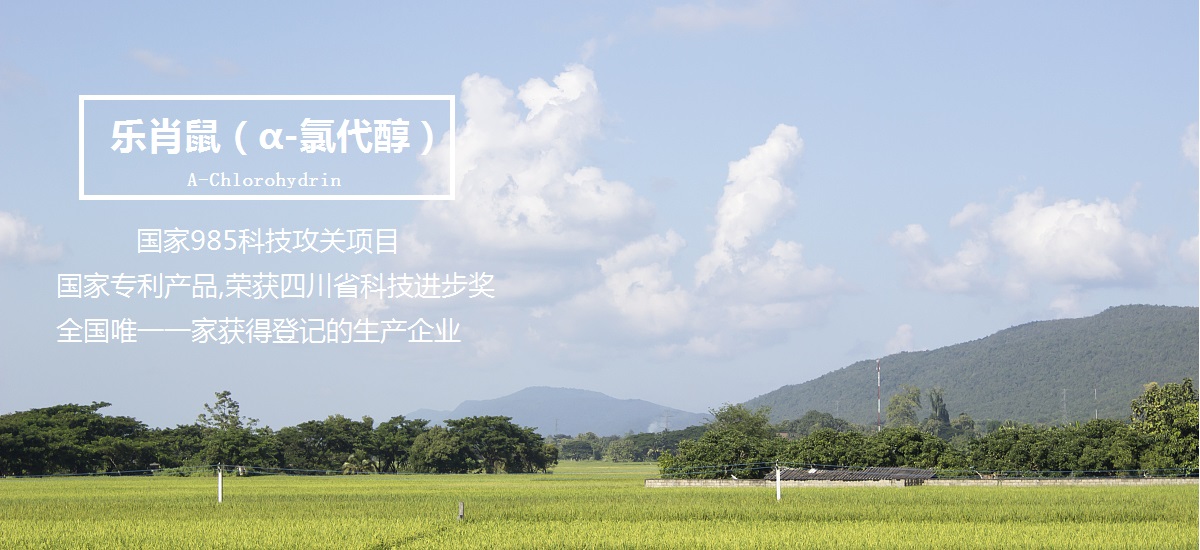 幻燈2